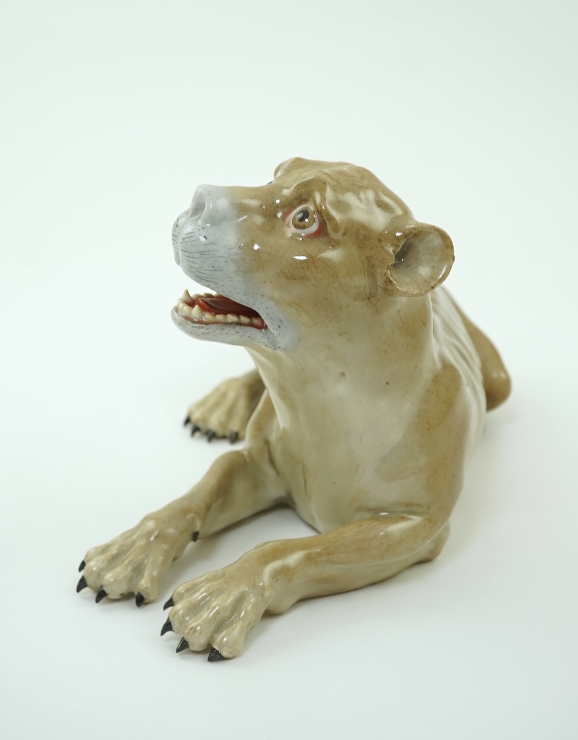 A Meissen model of a recumbent lioness, after J. J. Kandler, 19th century